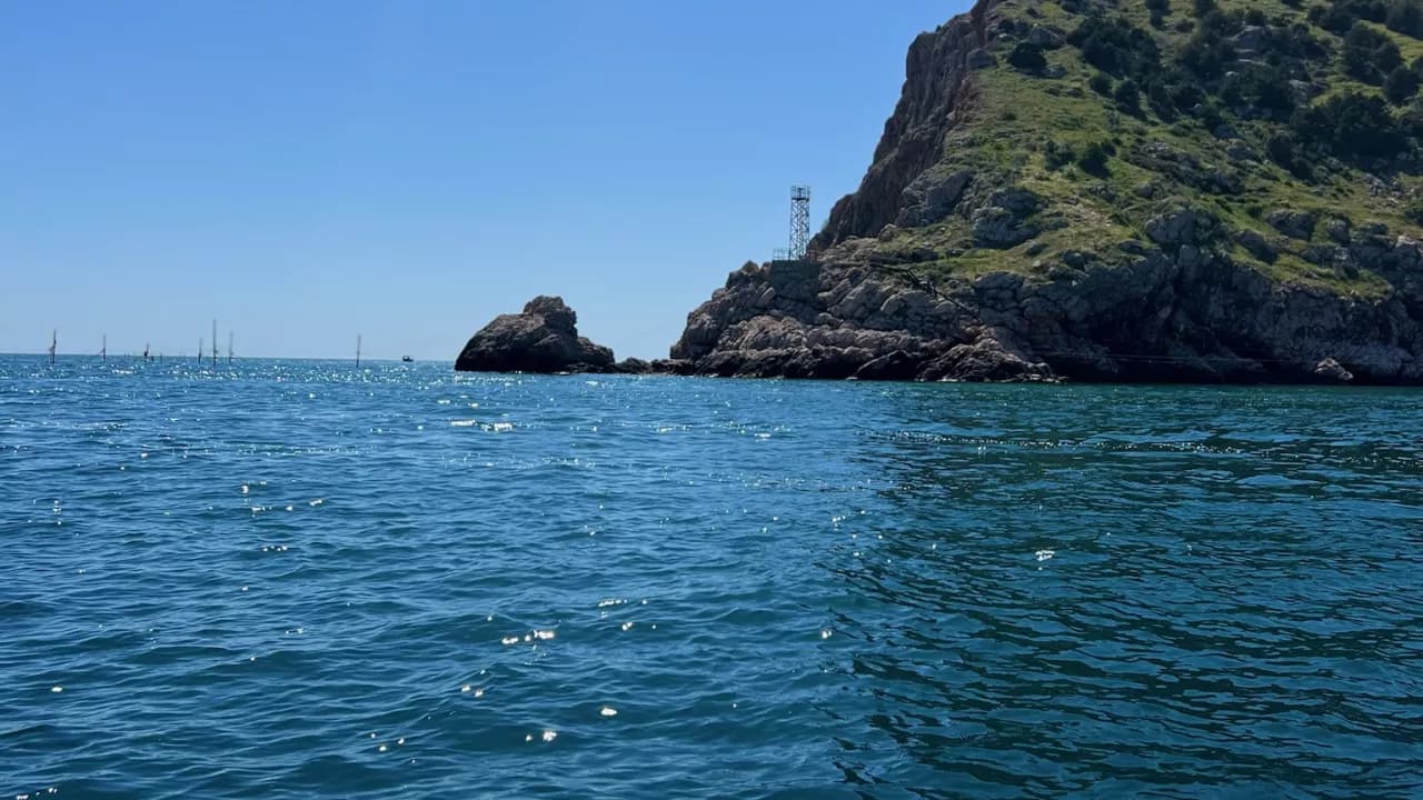 Изображение услуги3