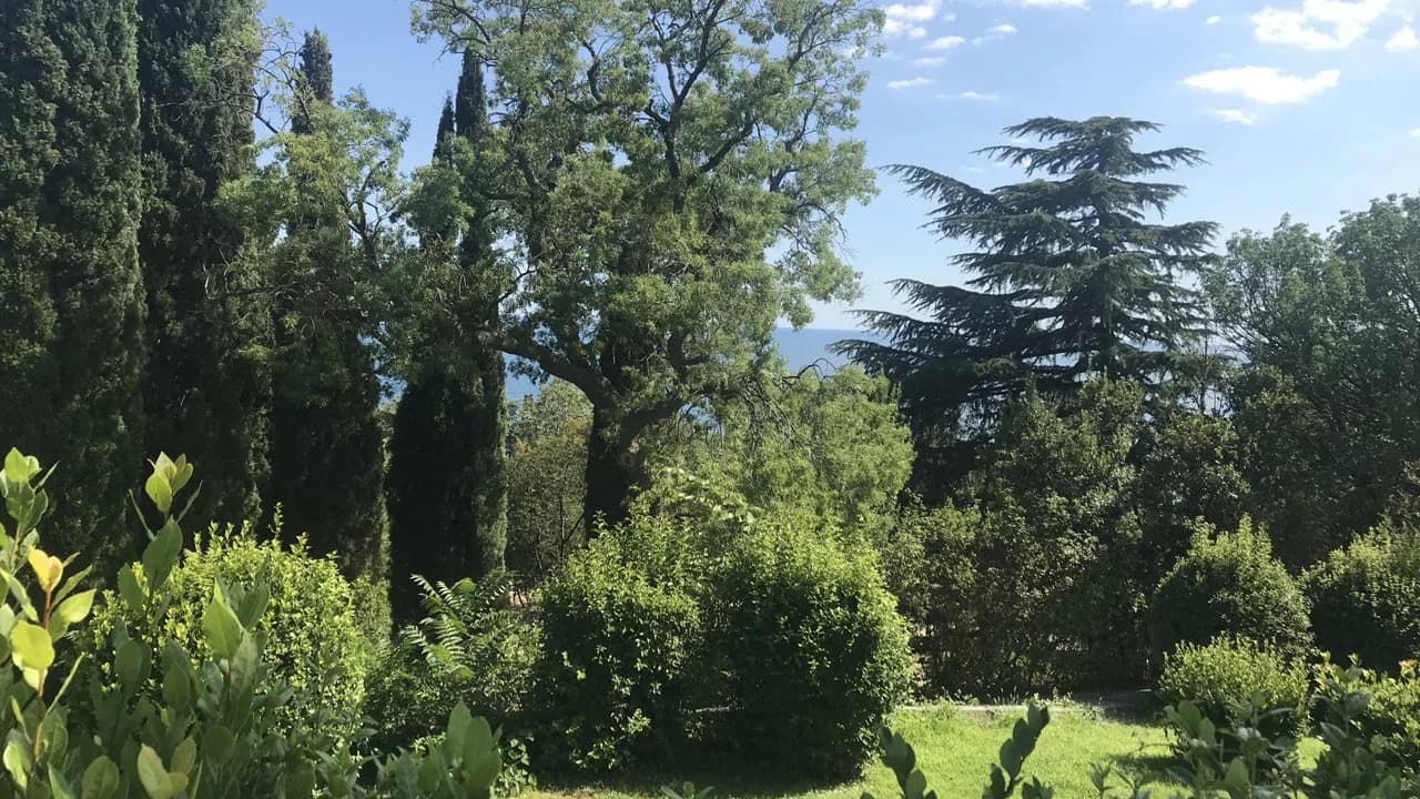 Изображение услуги4