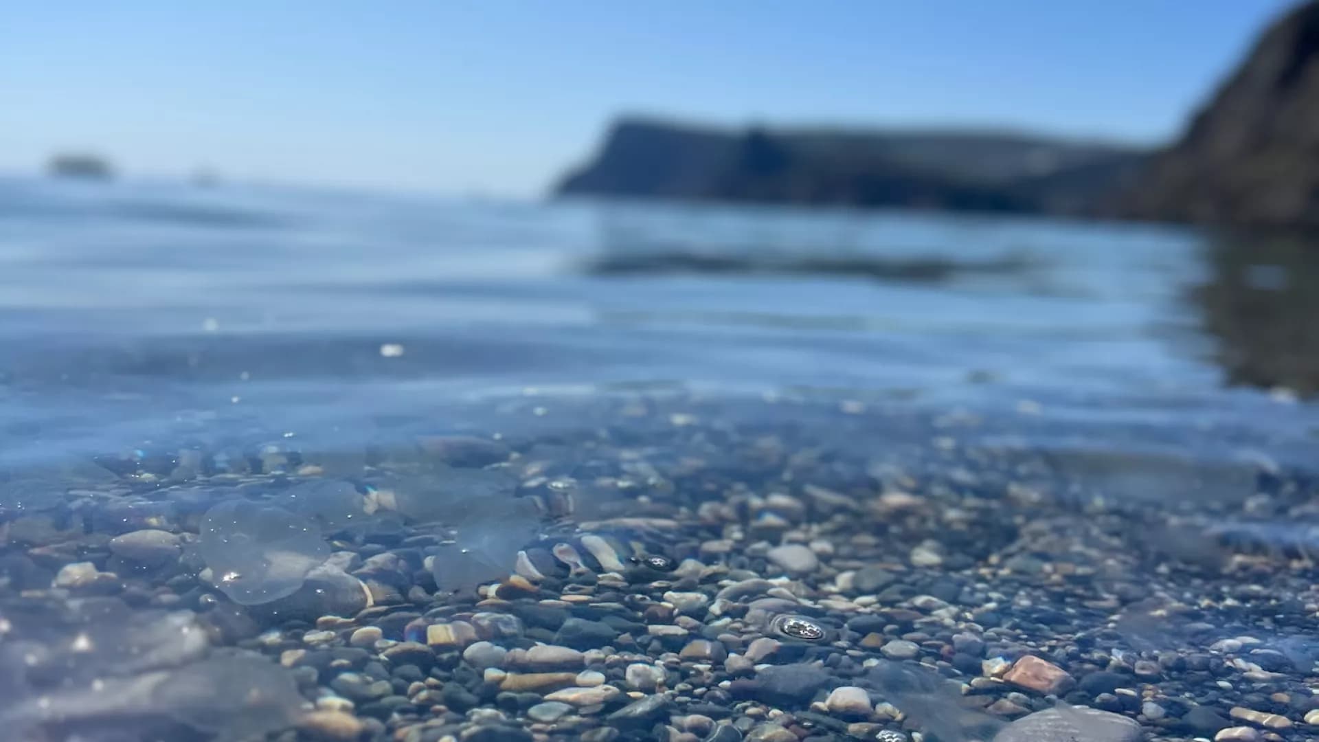 Изображение услуги2