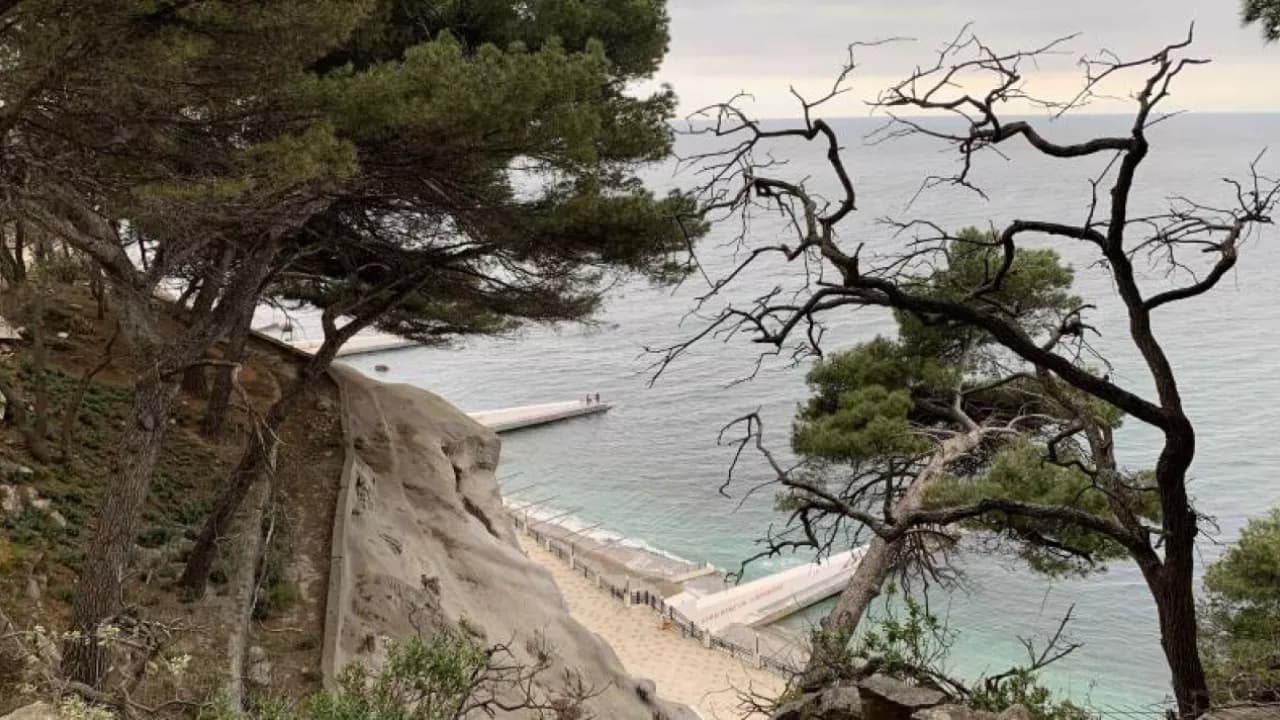 Изображение услуги7