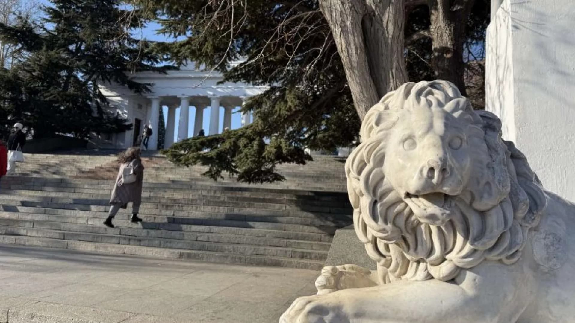 Изображение услуги3