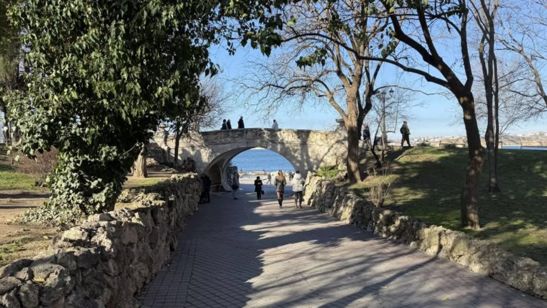 Изображение услуги5