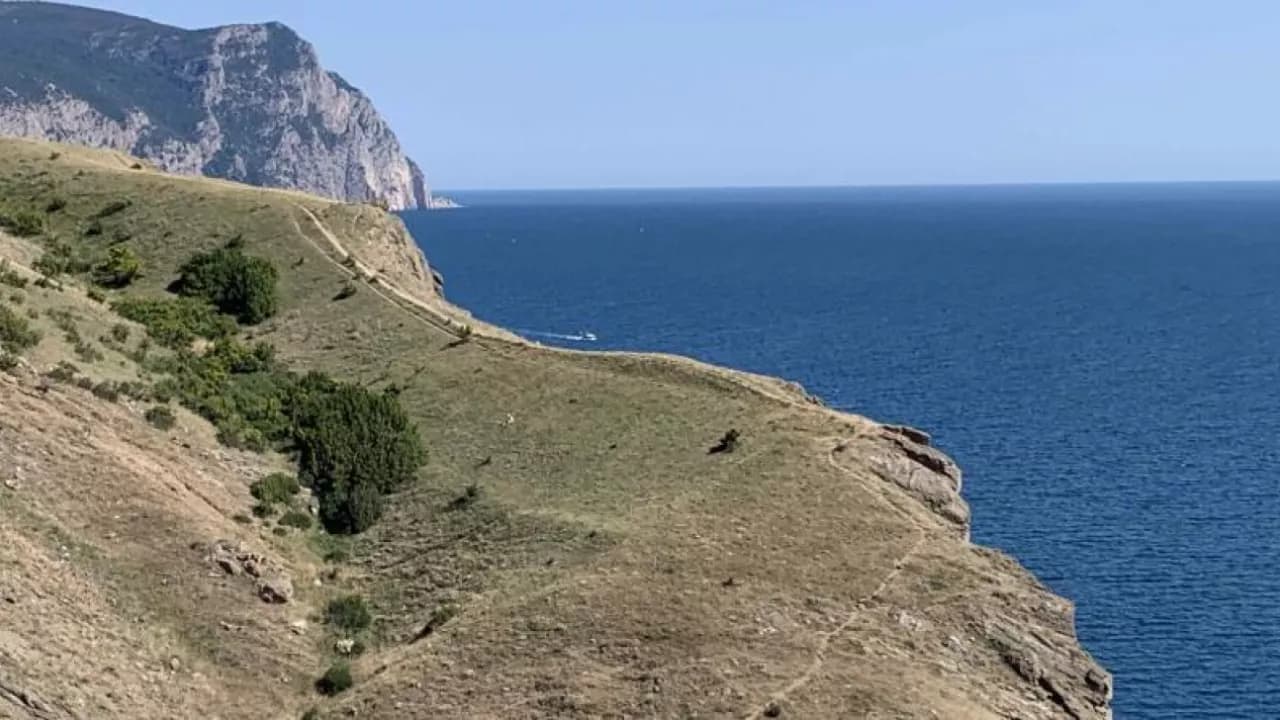 Изображение услуги10