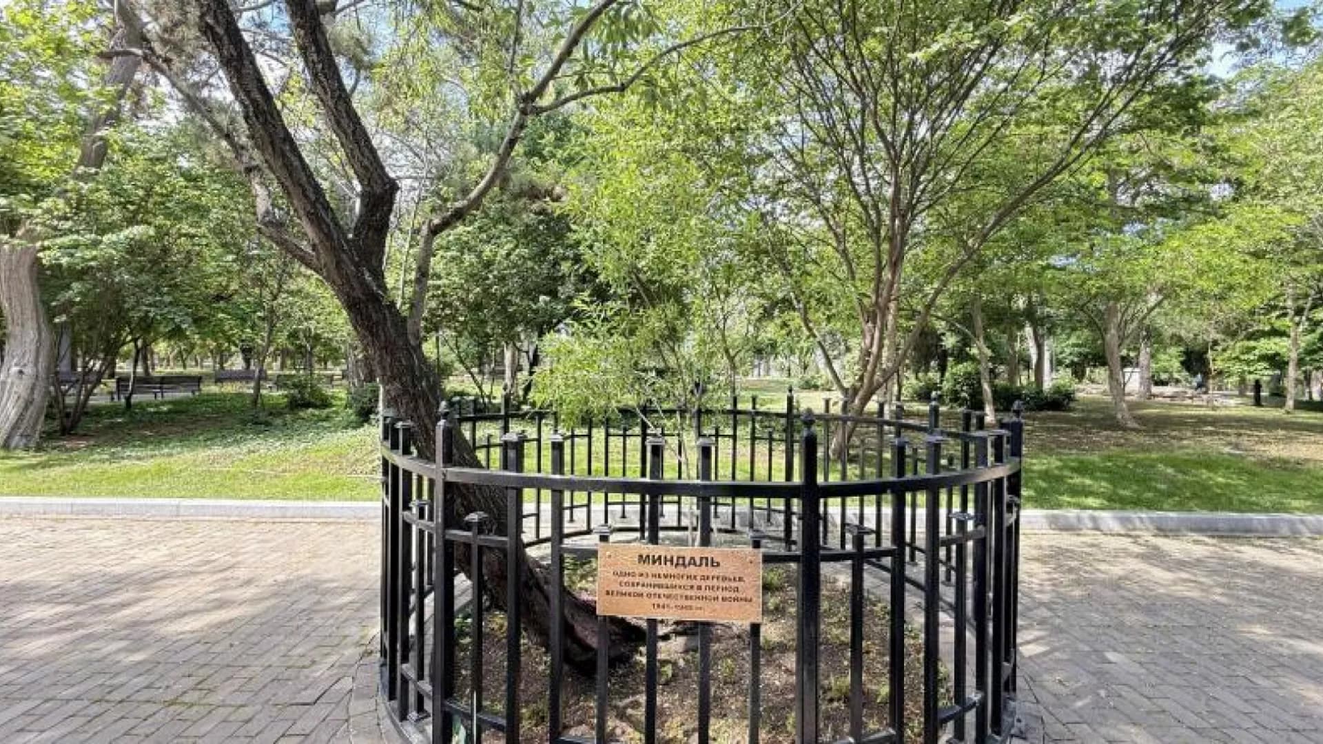 Изображение услуги12