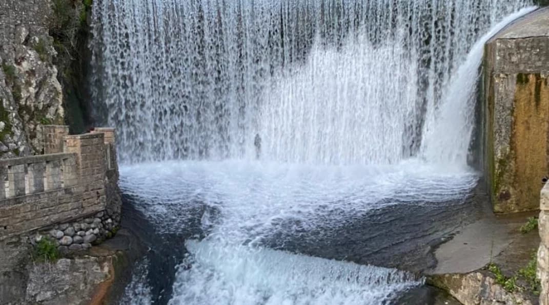 Изображение услуги4