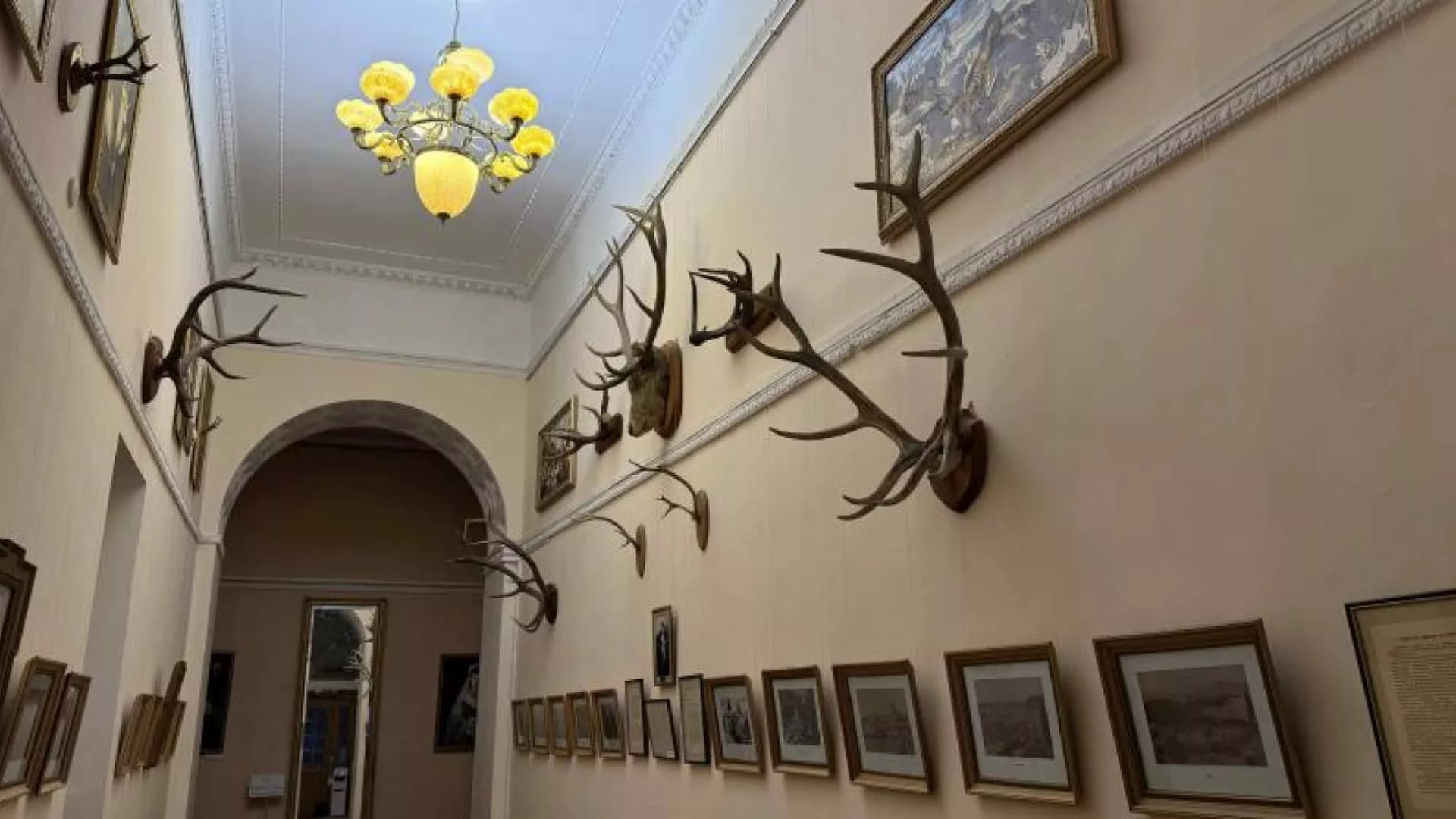 Изображение услуги7