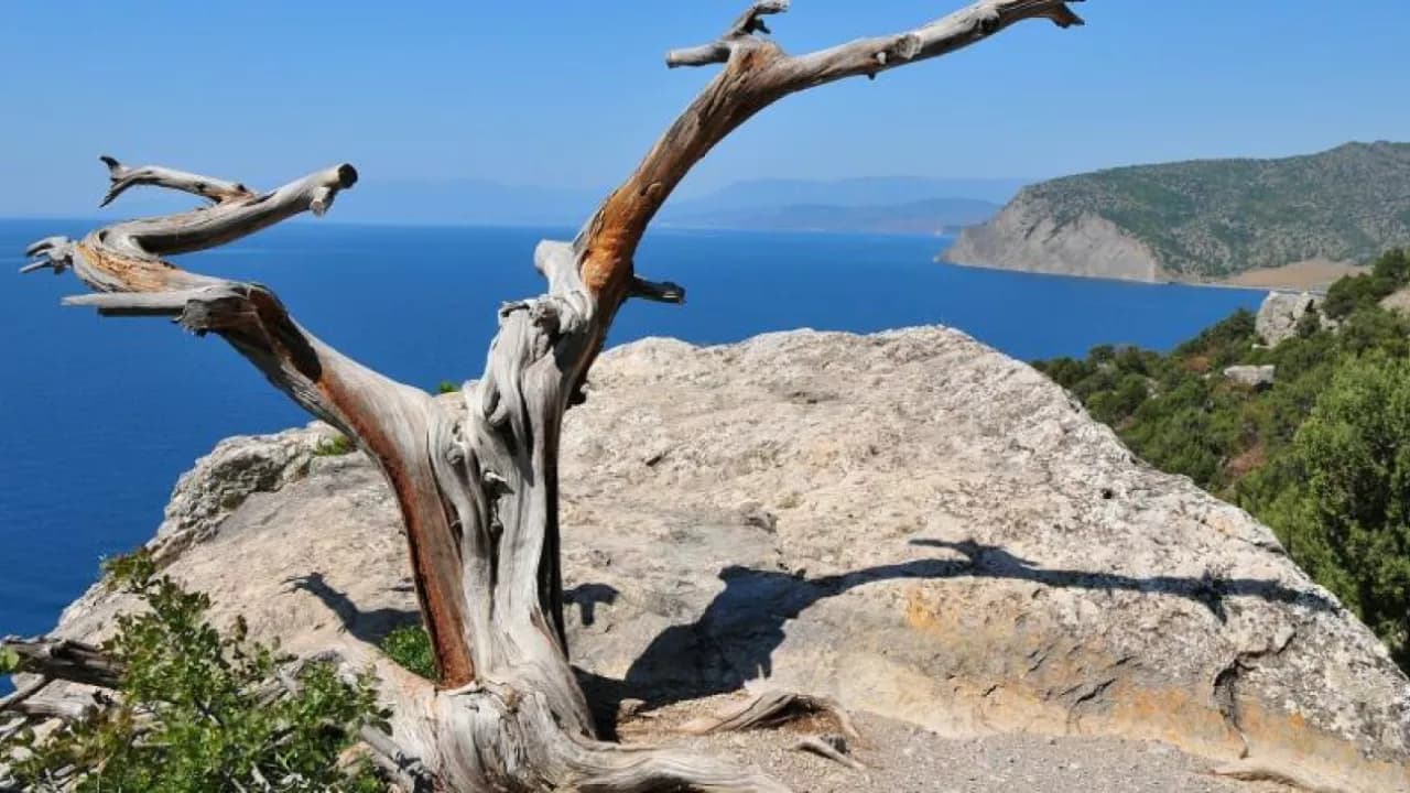 Изображение услуги3