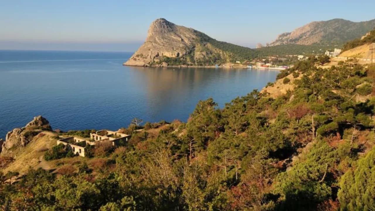 Изображение услуги8