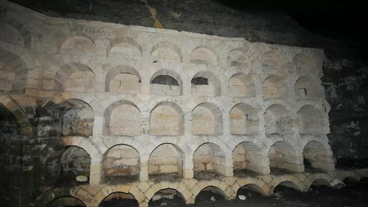 Изображение услуги9