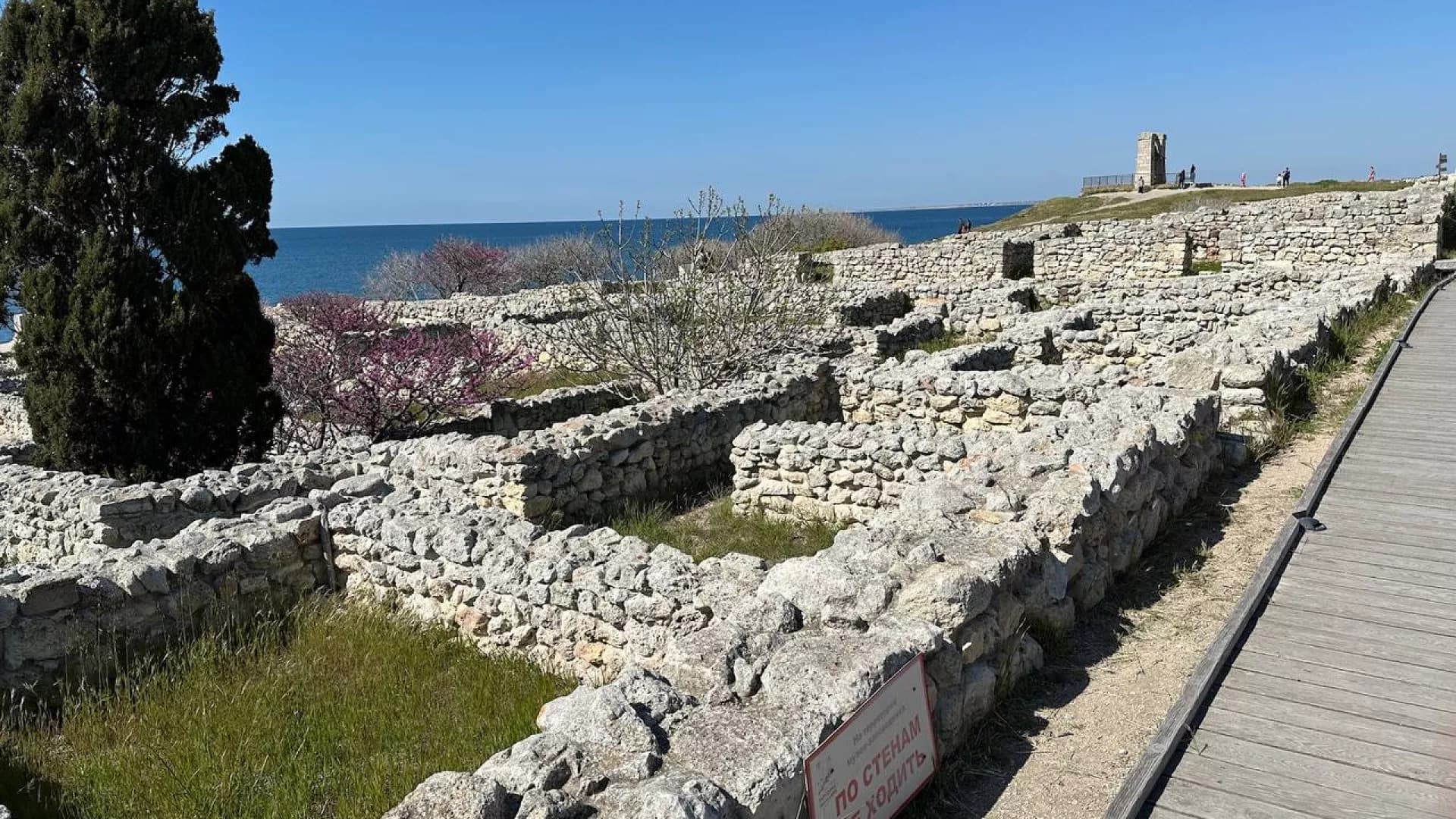 Изображение услуги4