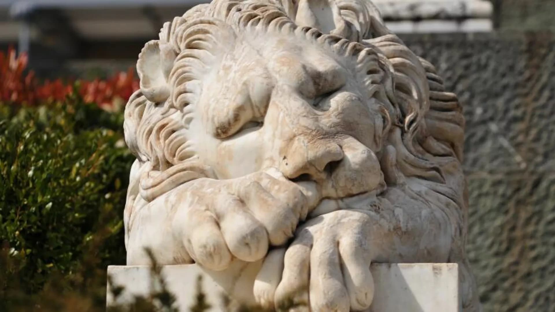 Большая Обзорная Экскурсия по Южному Берегу Крыма из Севастополя