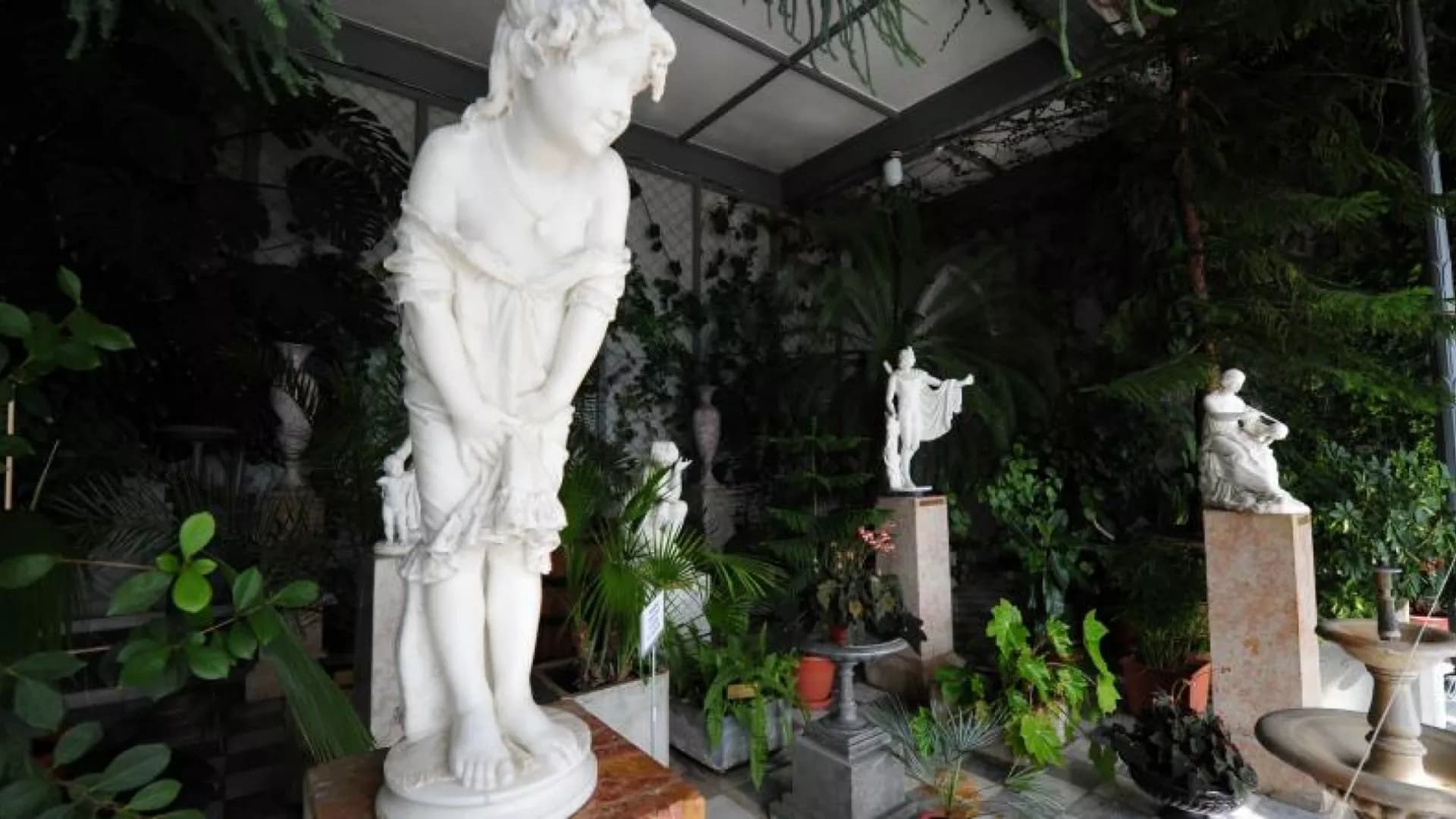 Изображение услуги10