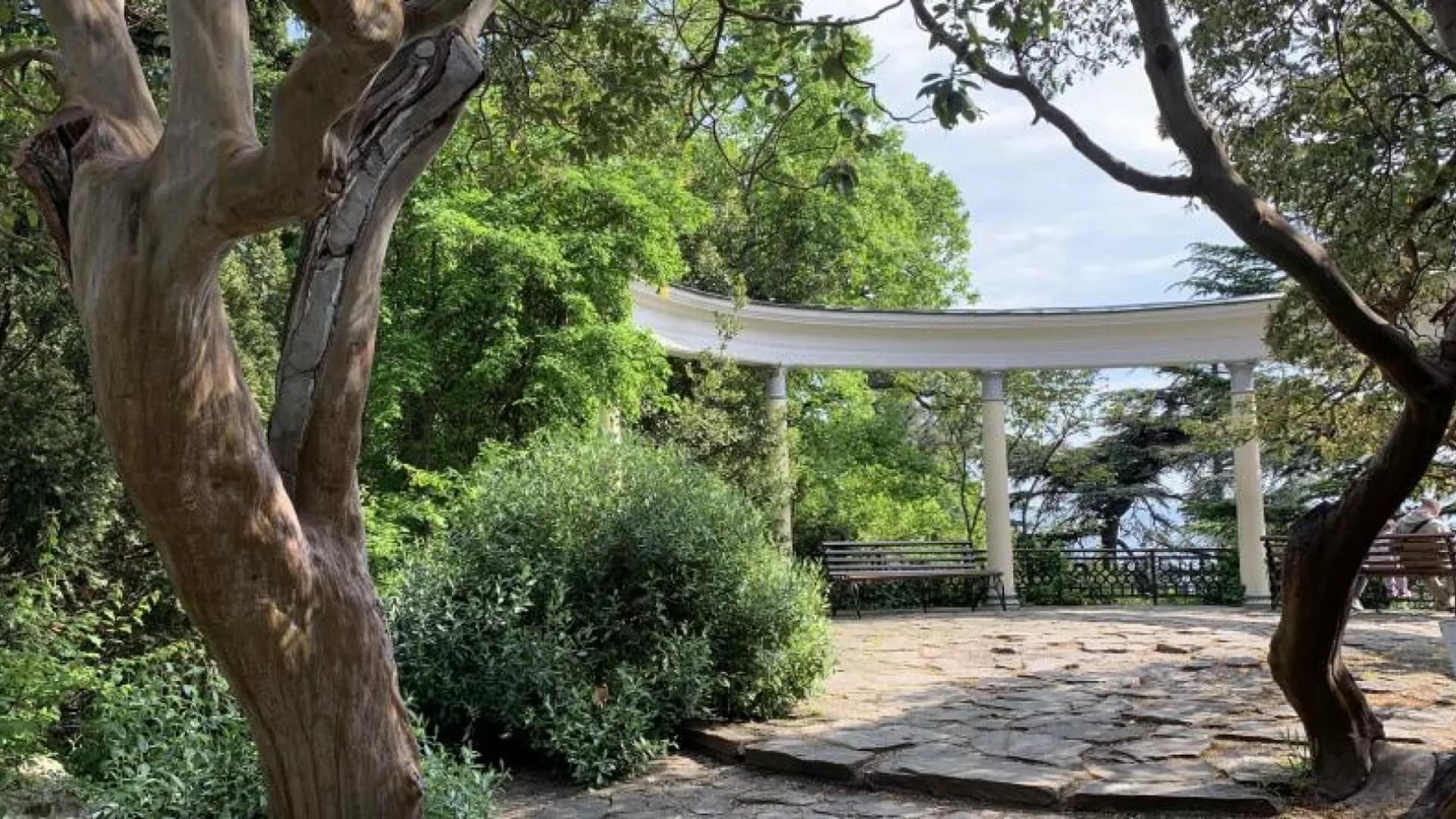 Изображение услуги5