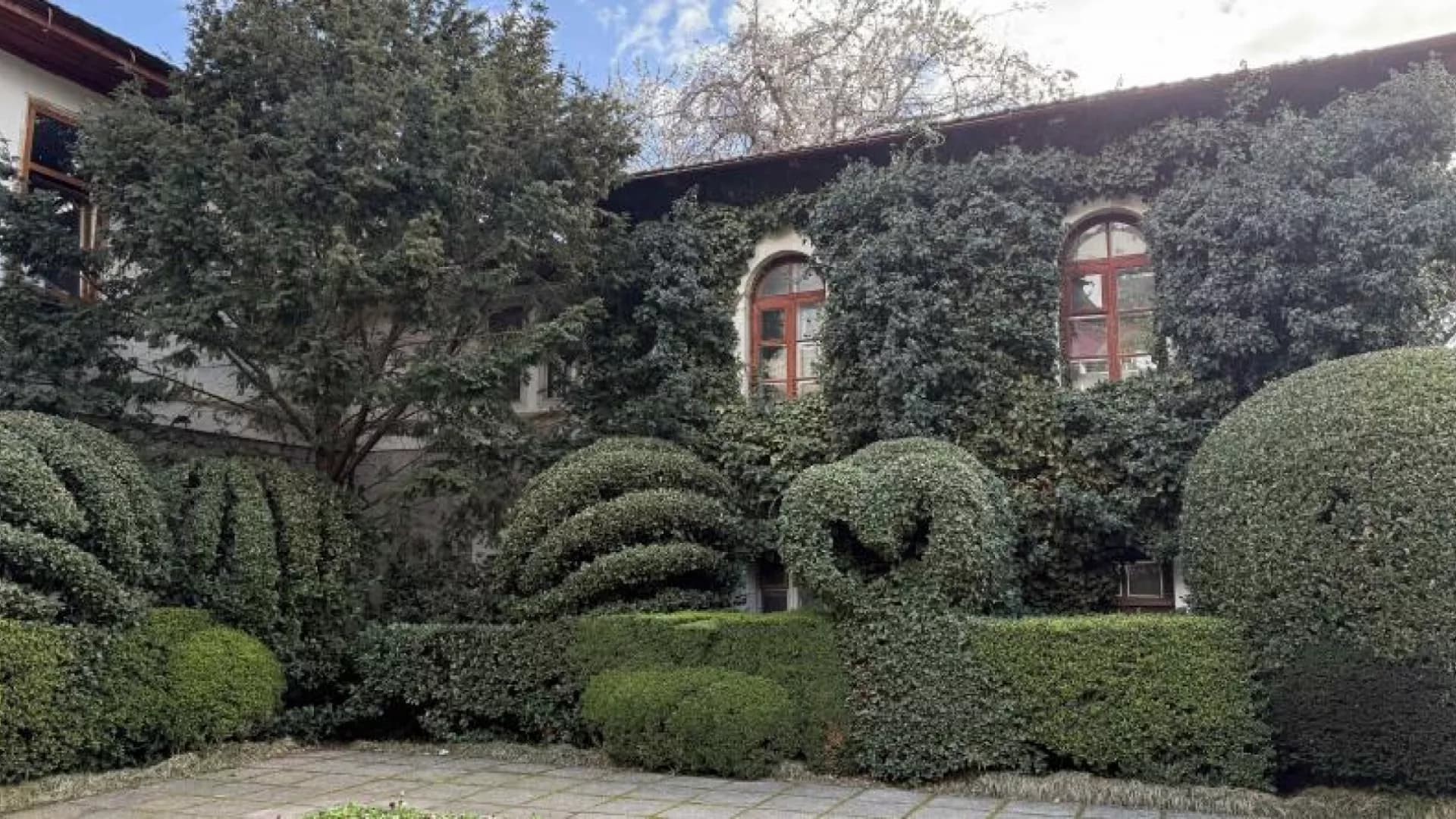 Изображение услуги8