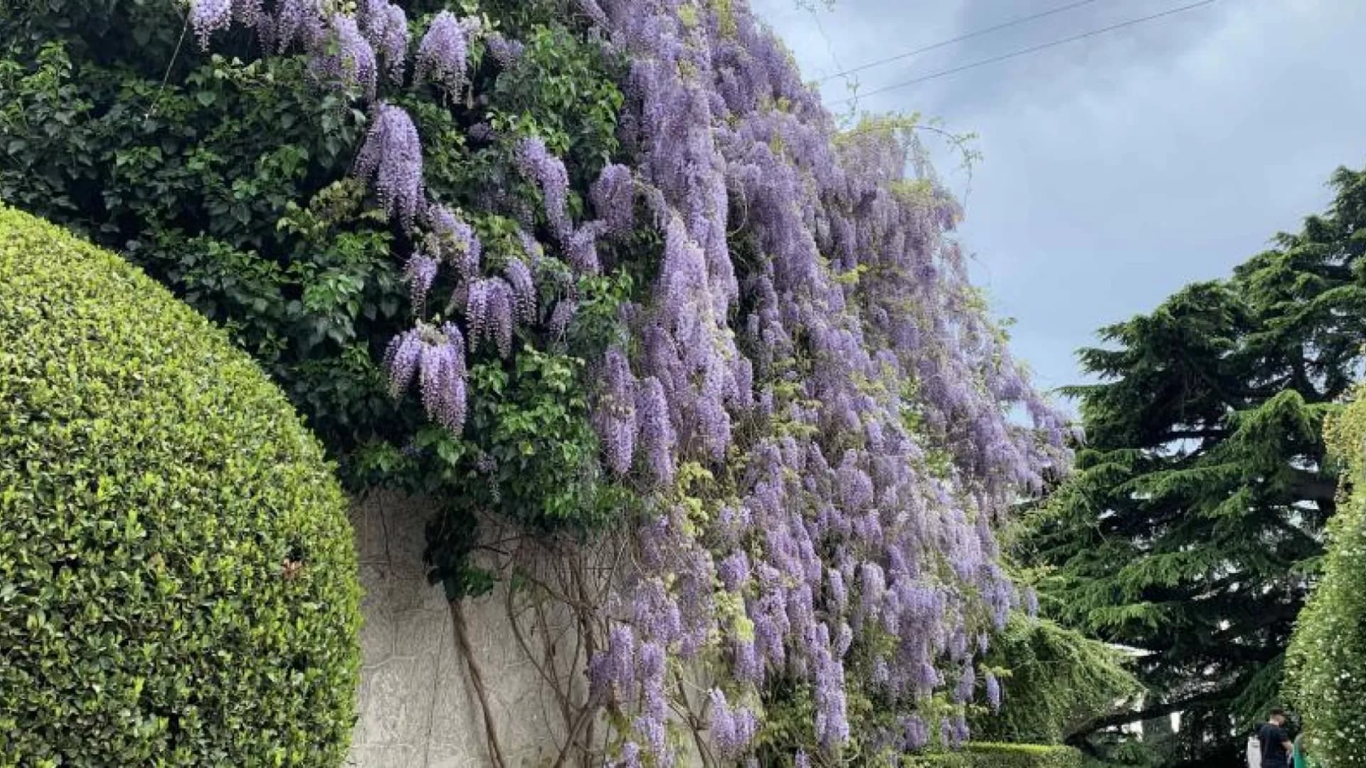 Изображение услуги10