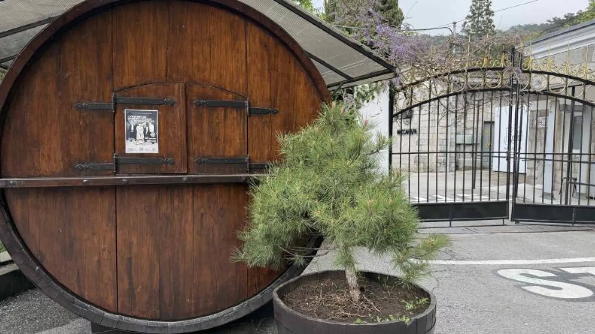 Изображение услуги13