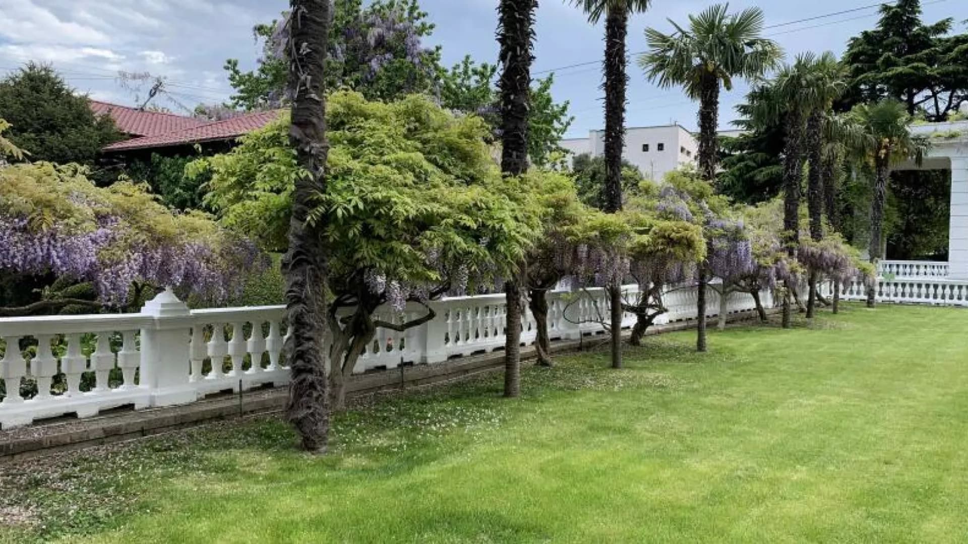 Изображение услуги15