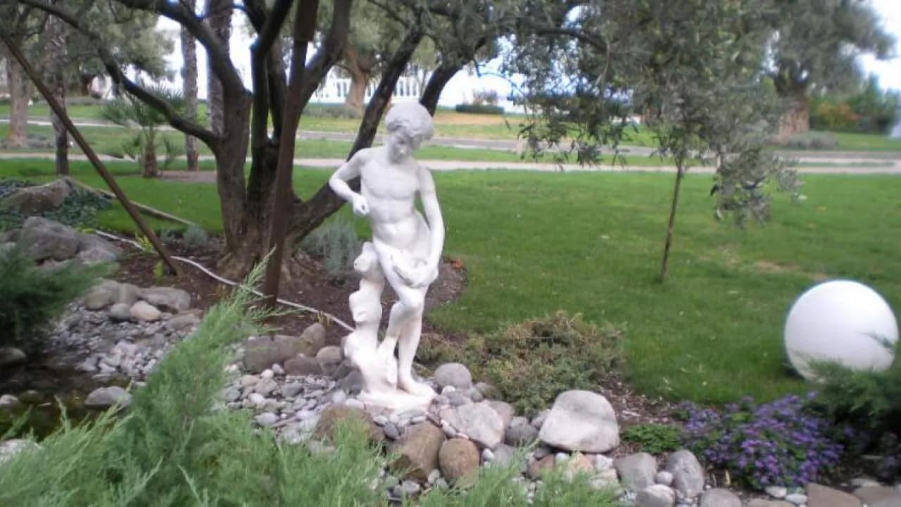 Изображение услуги7