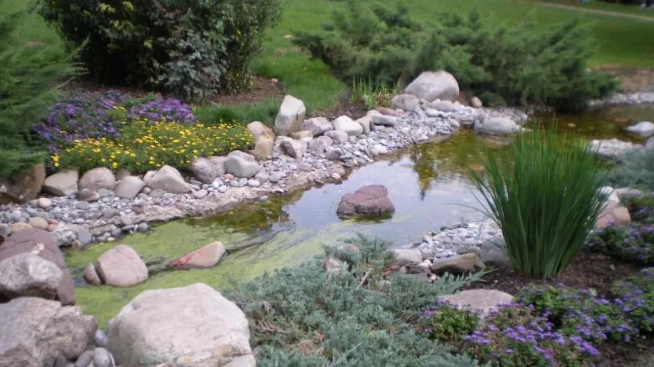 Изображение услуги8