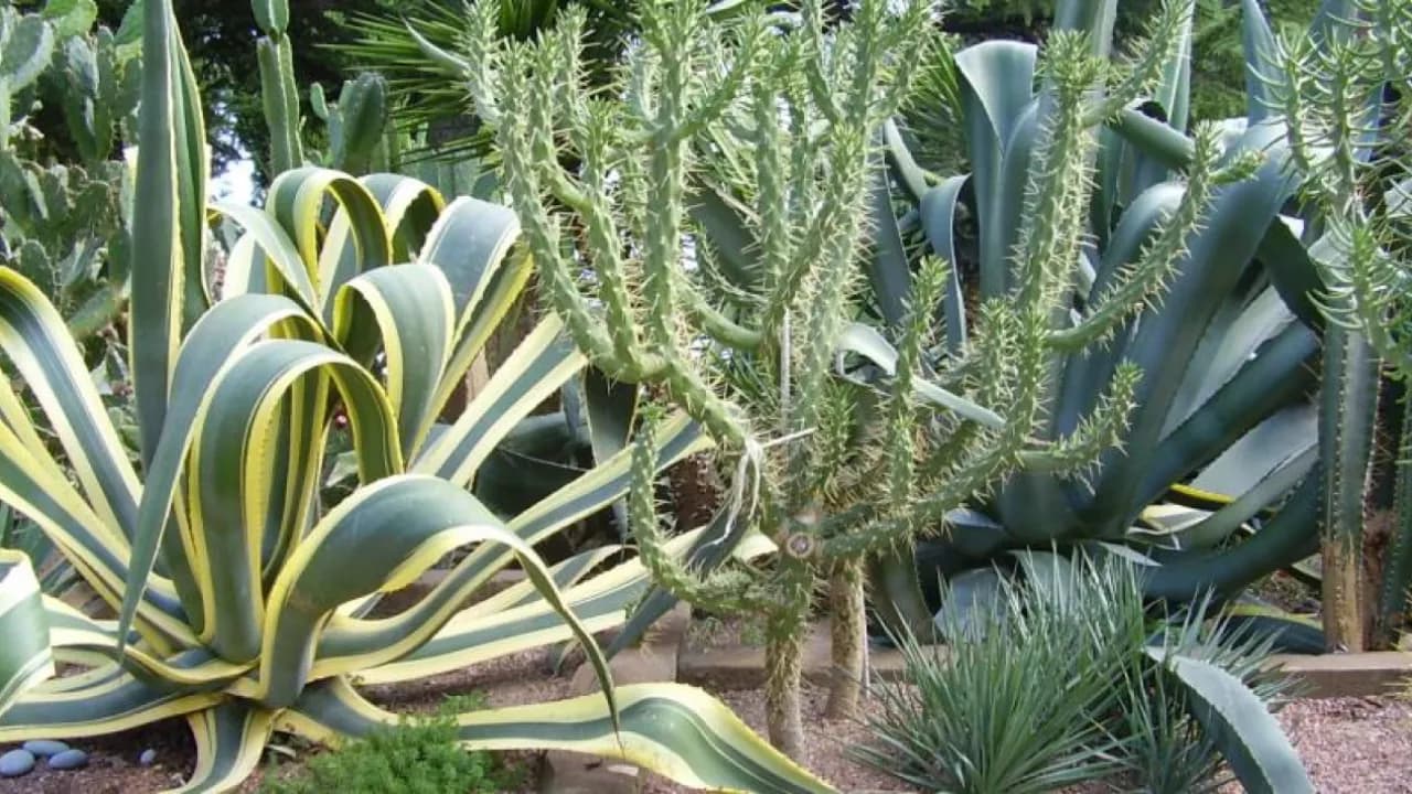 Изображение услуги9