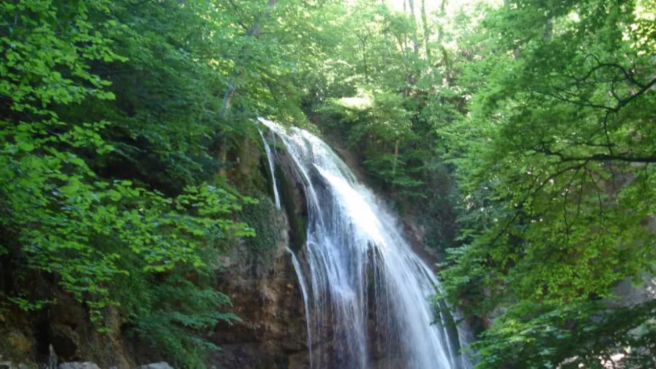 Изображение услуги2