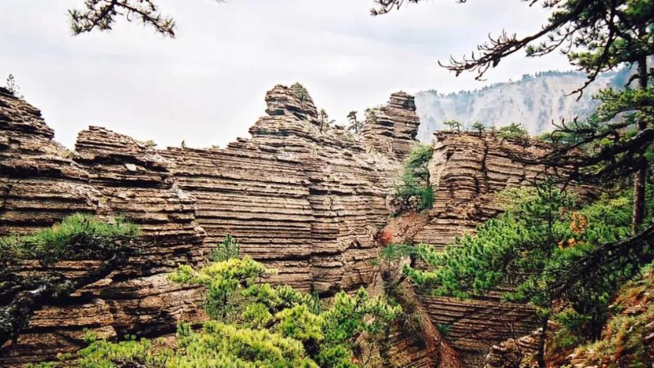 Изображение услуги4