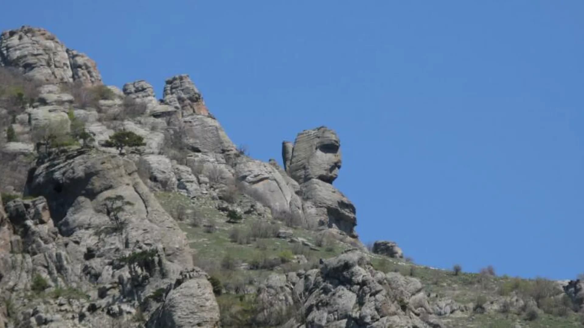 Изображение услуги5