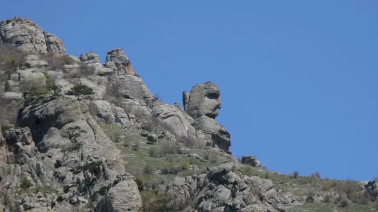 Изображение услуги5