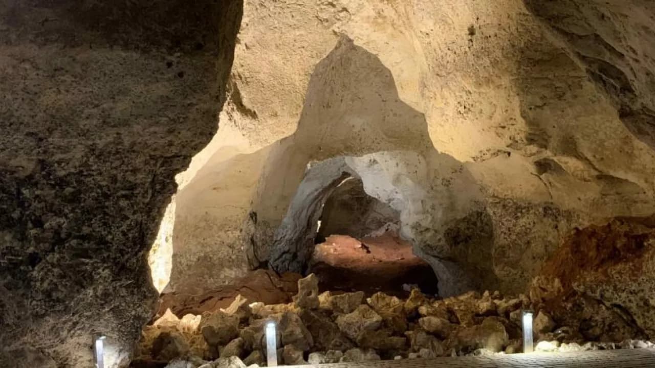 Изображение услуги2