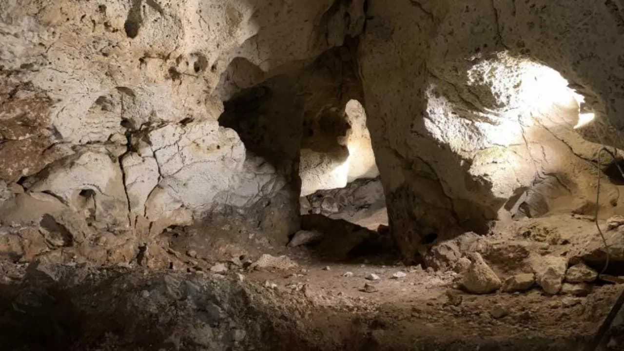 Изображение услуги4