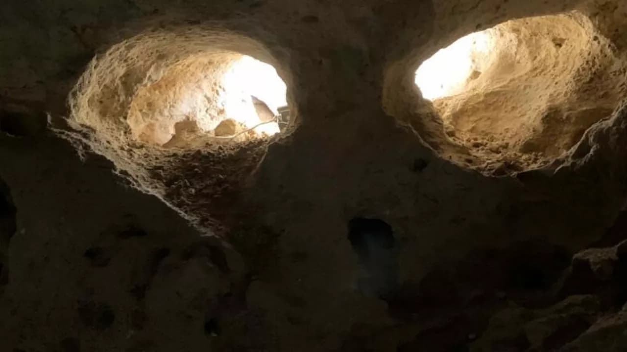 Изображение услуги5