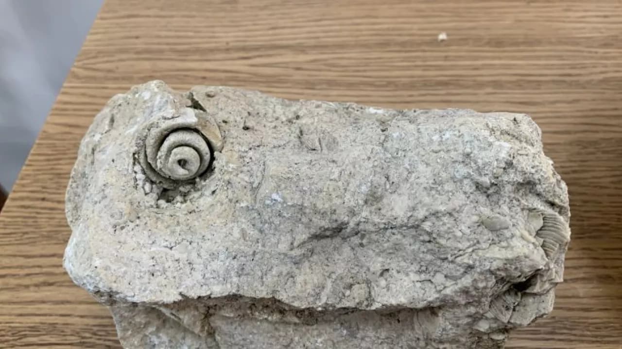 Изображение услуги6