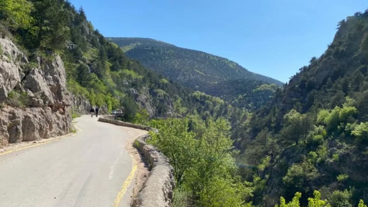 Изображение услуги2