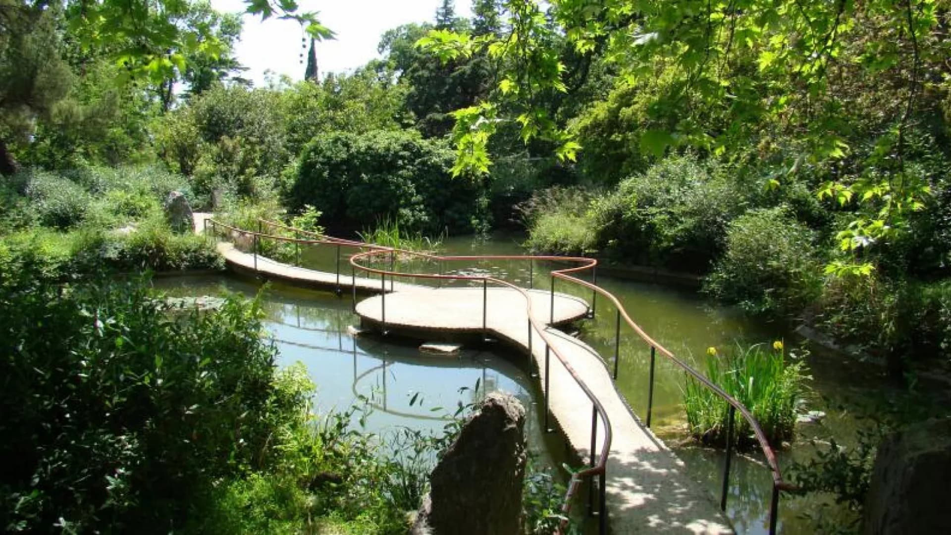 Изображение услуги3