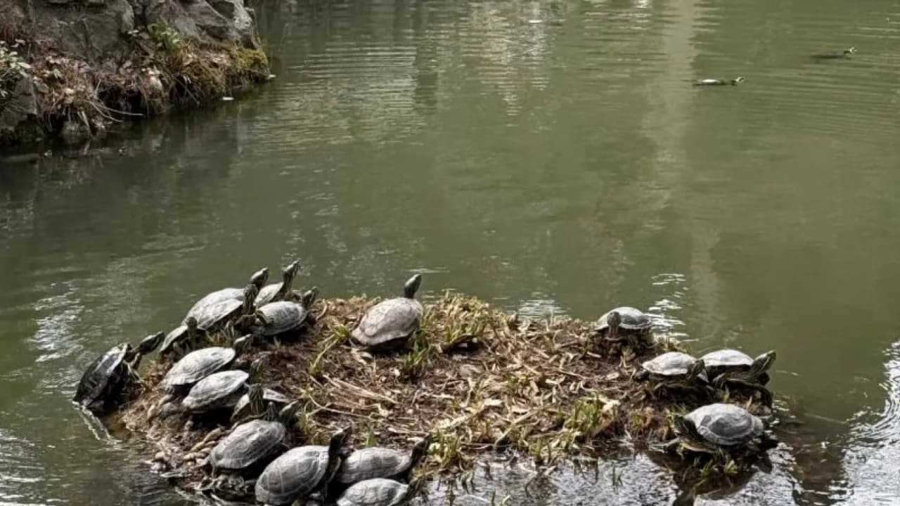 Изображение услуги4