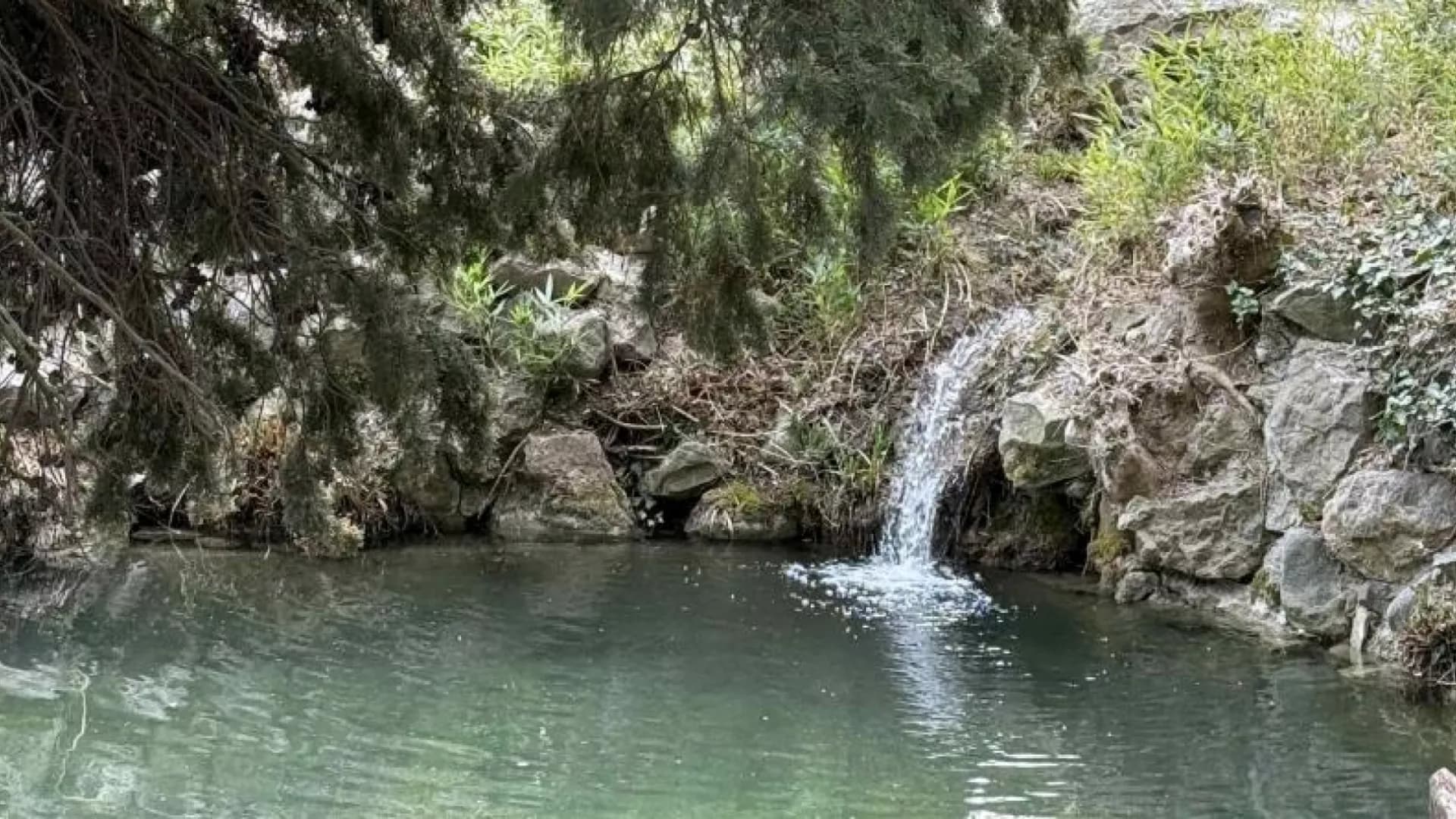 Изображение услуги5