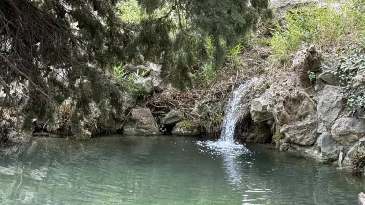 Изображение услуги5