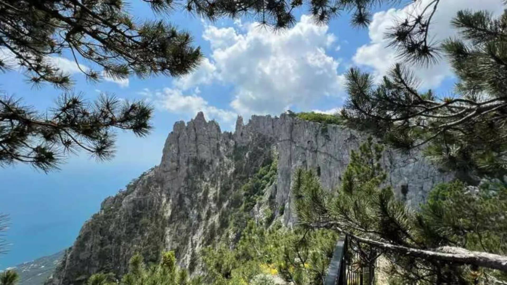 Изображение услуги10