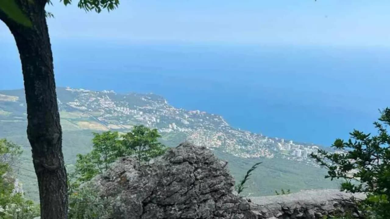 Изображение услуги11