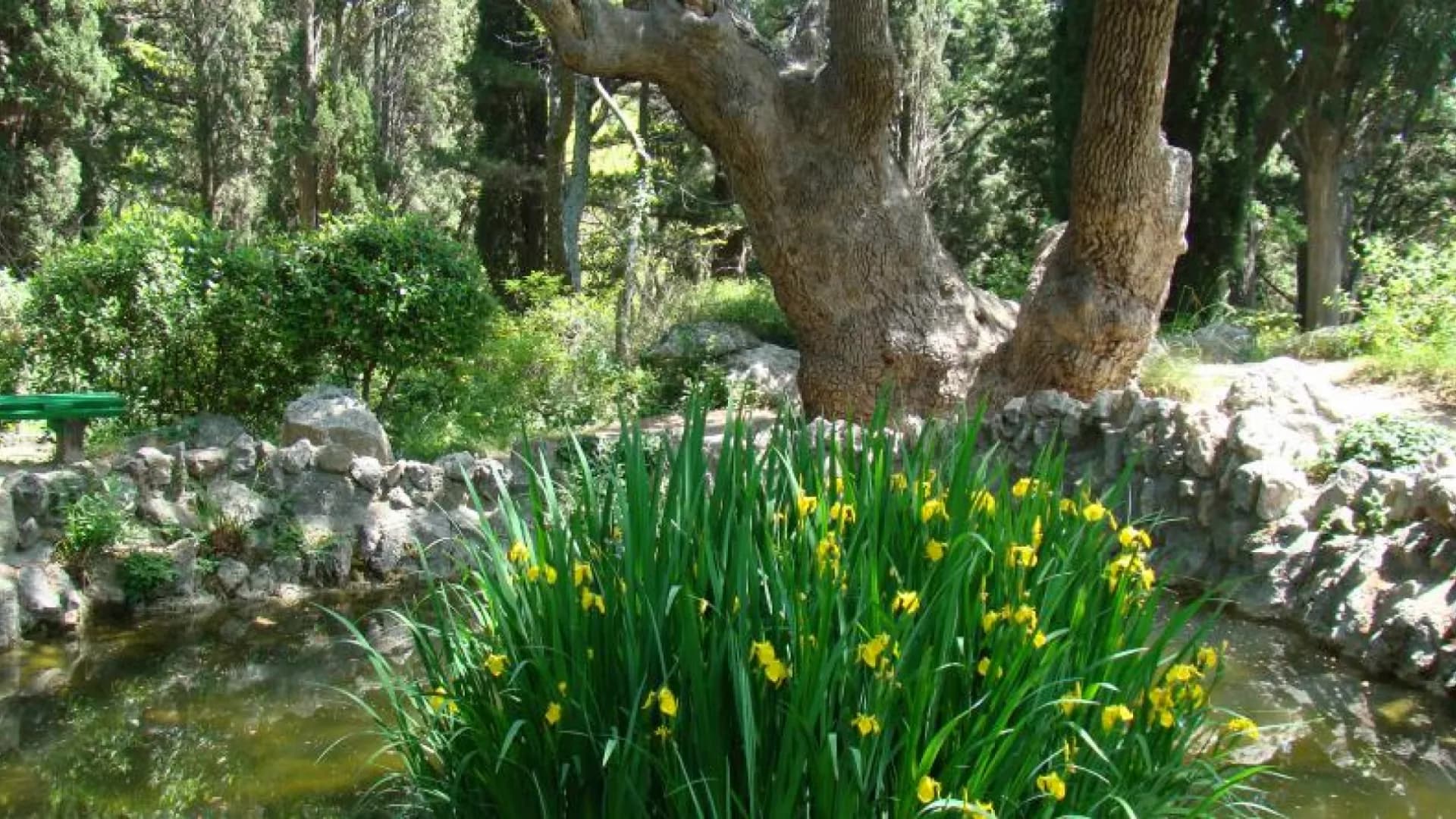 Изображение услуги13