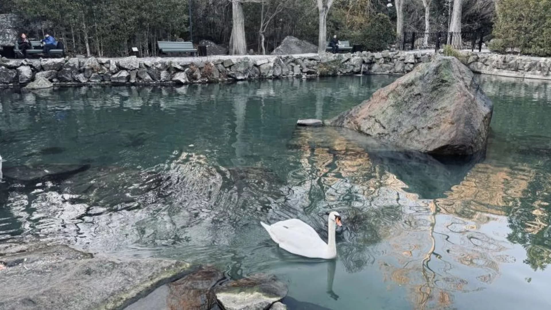 Изображение услуги10