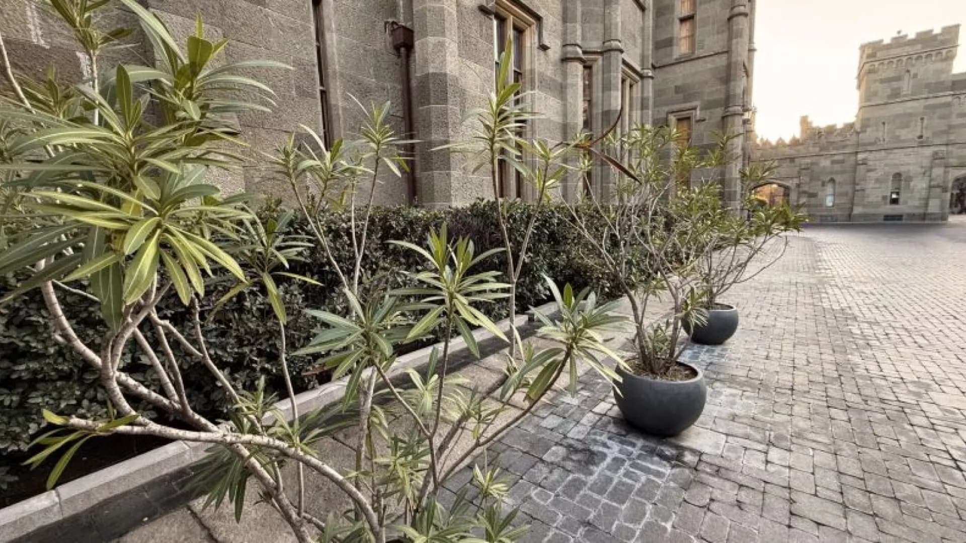 Изображение услуги11