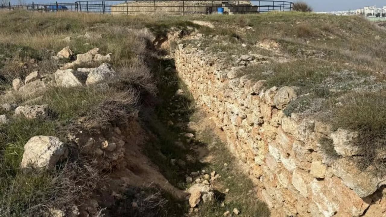 Изображение услуги10