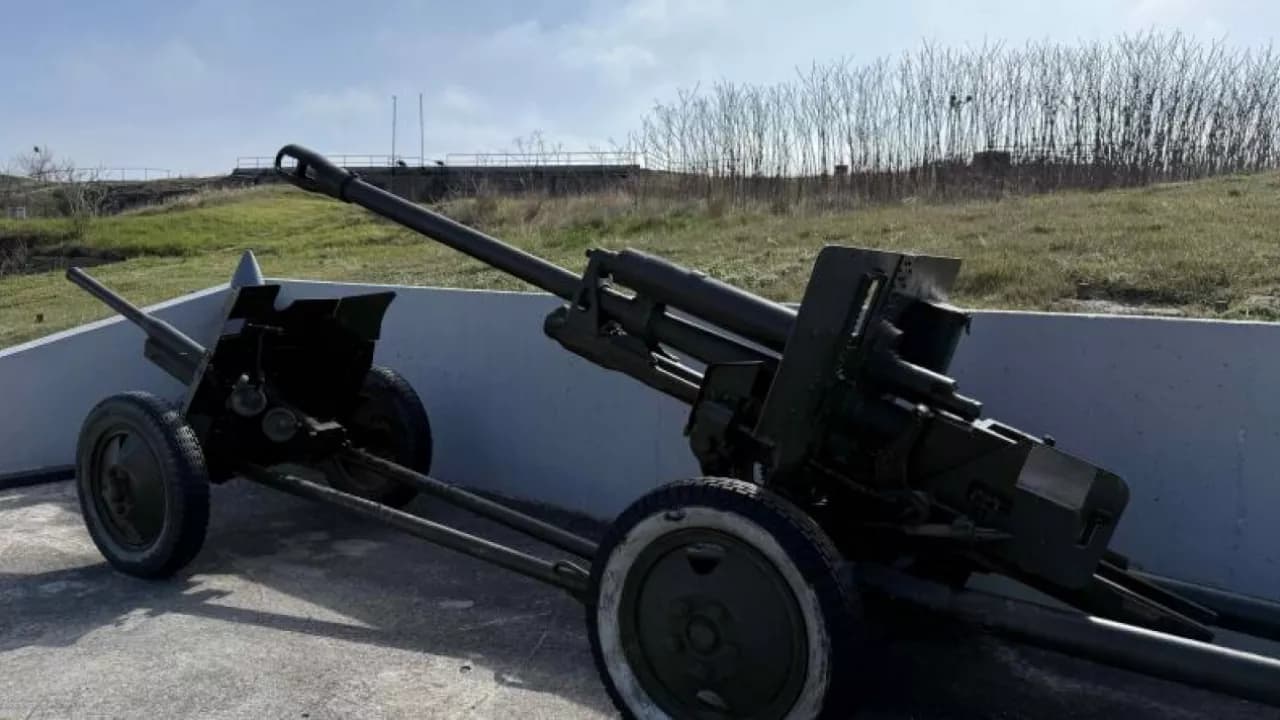 Изображение услуги12