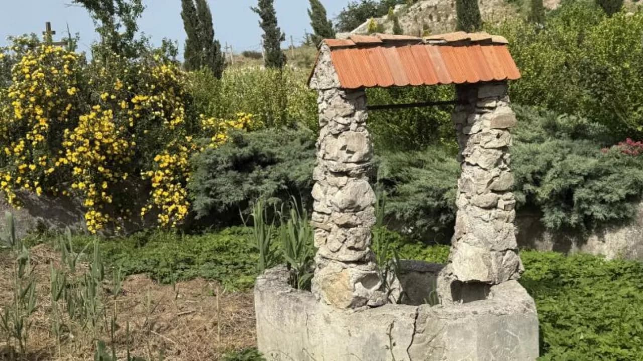 Изображение услуги1