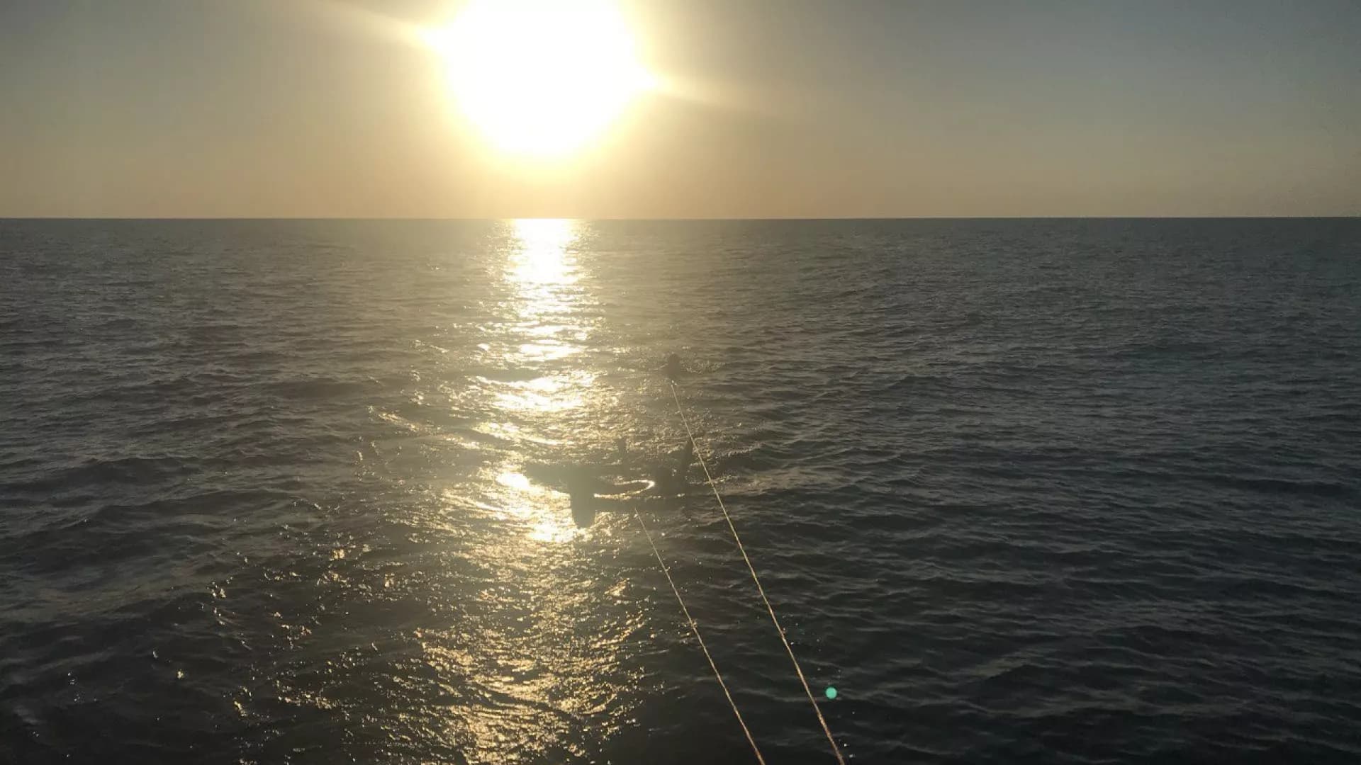 Изображение услуги2