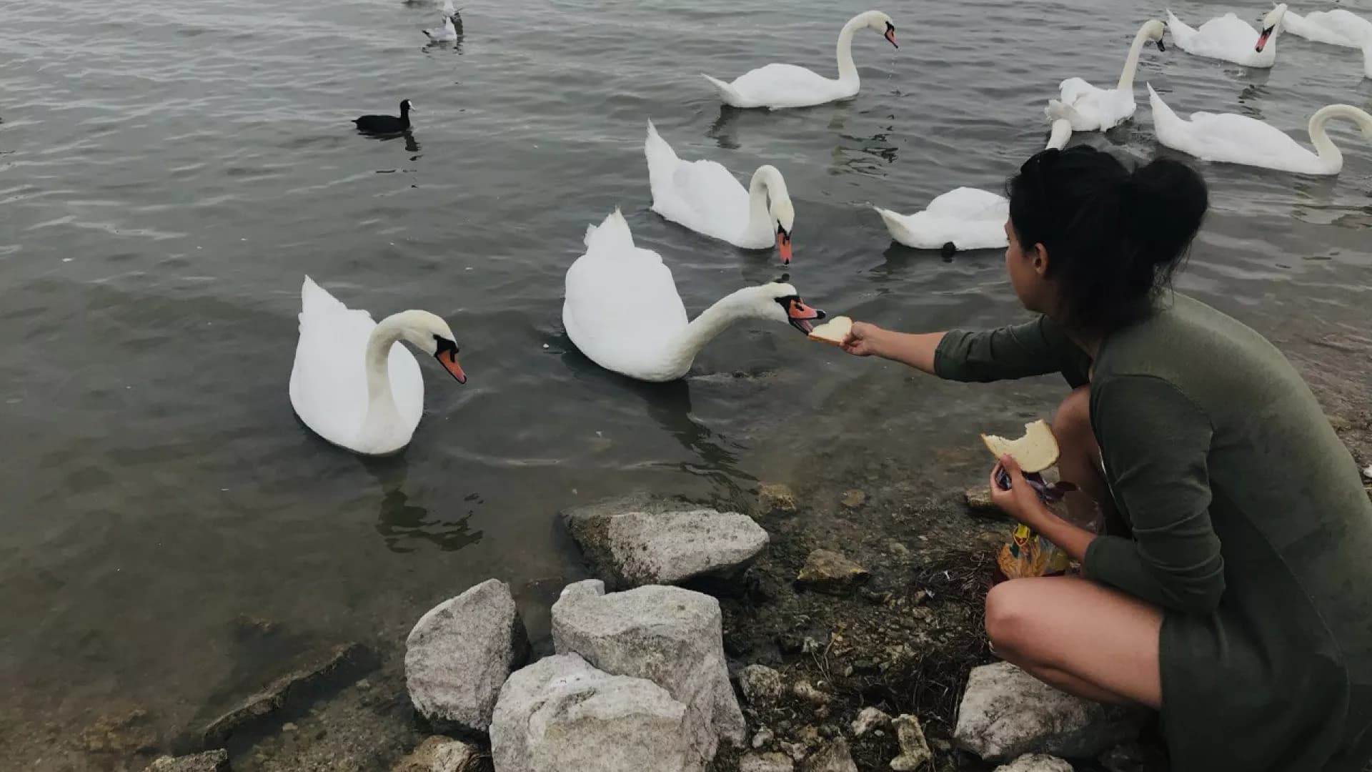 Изображение услуги1