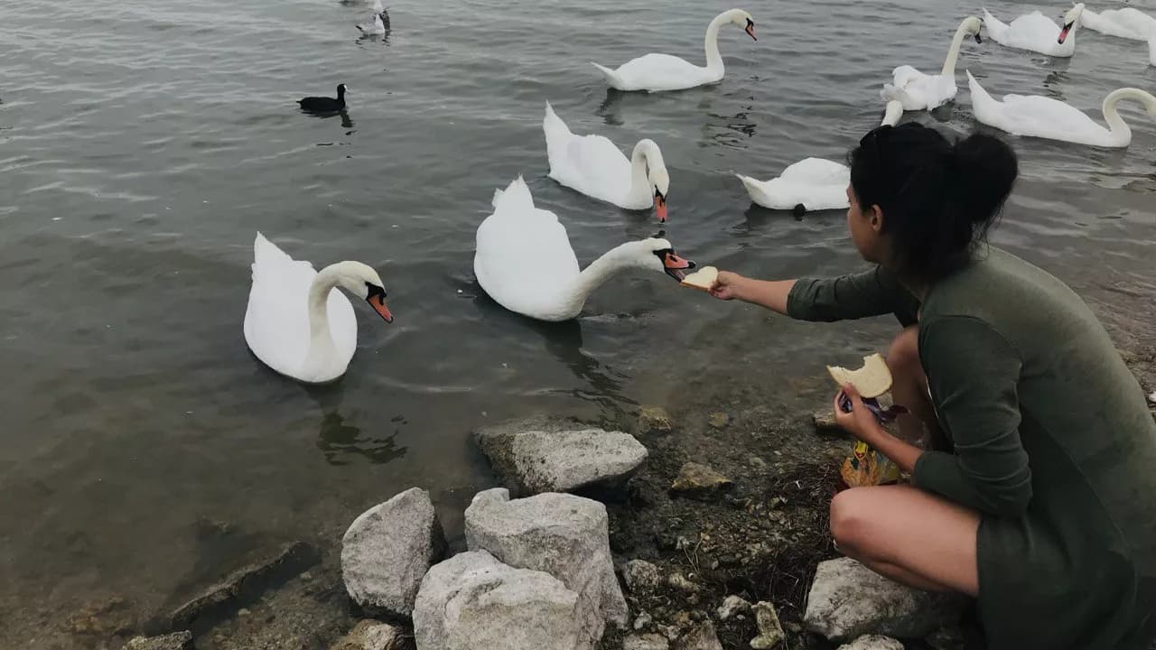 Изображение услуги1