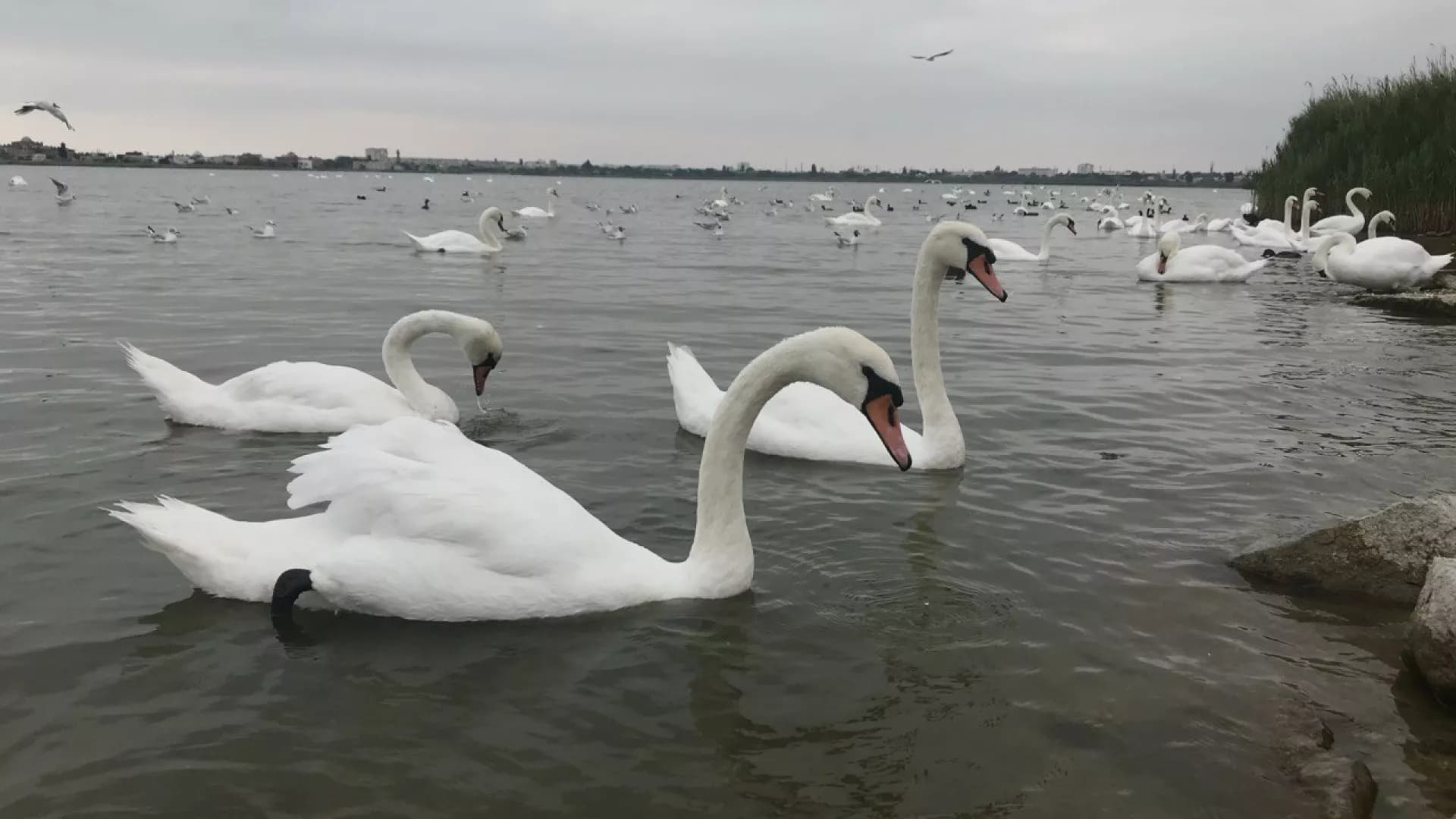 Изображение услуги3