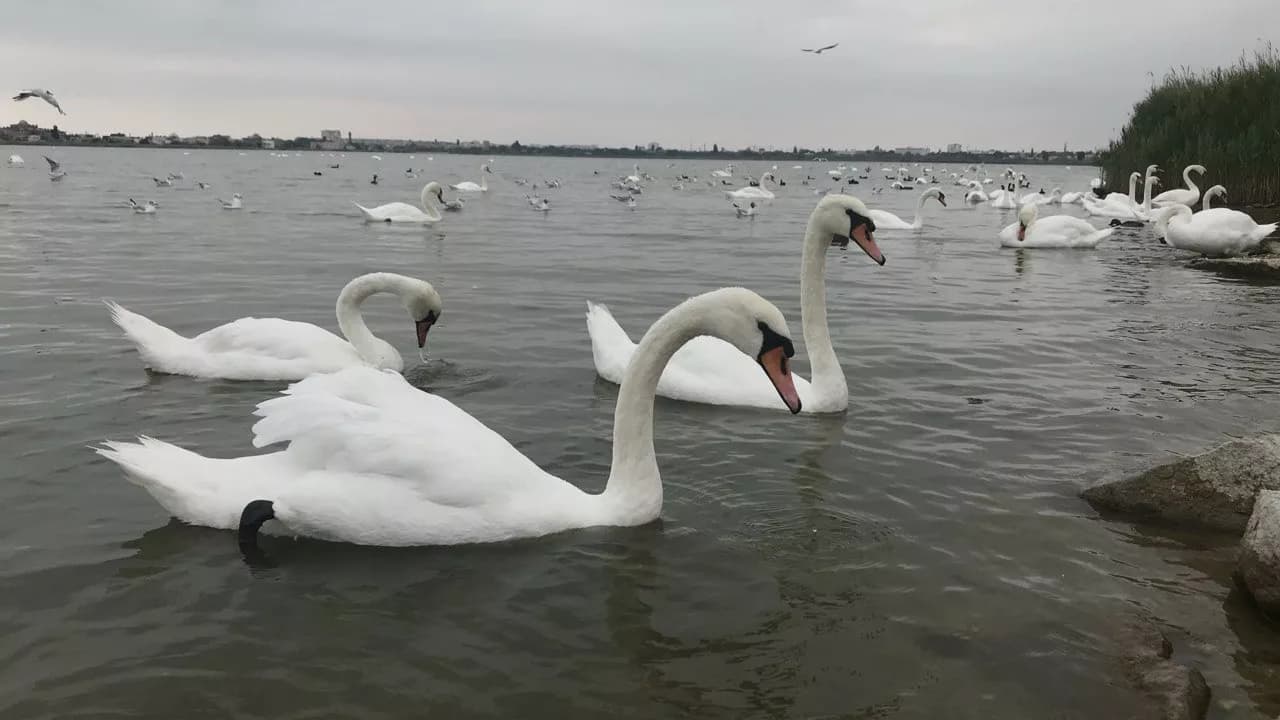 Изображение услуги3